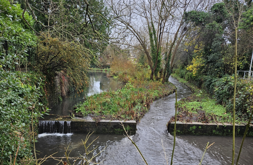 Ravensbourne River